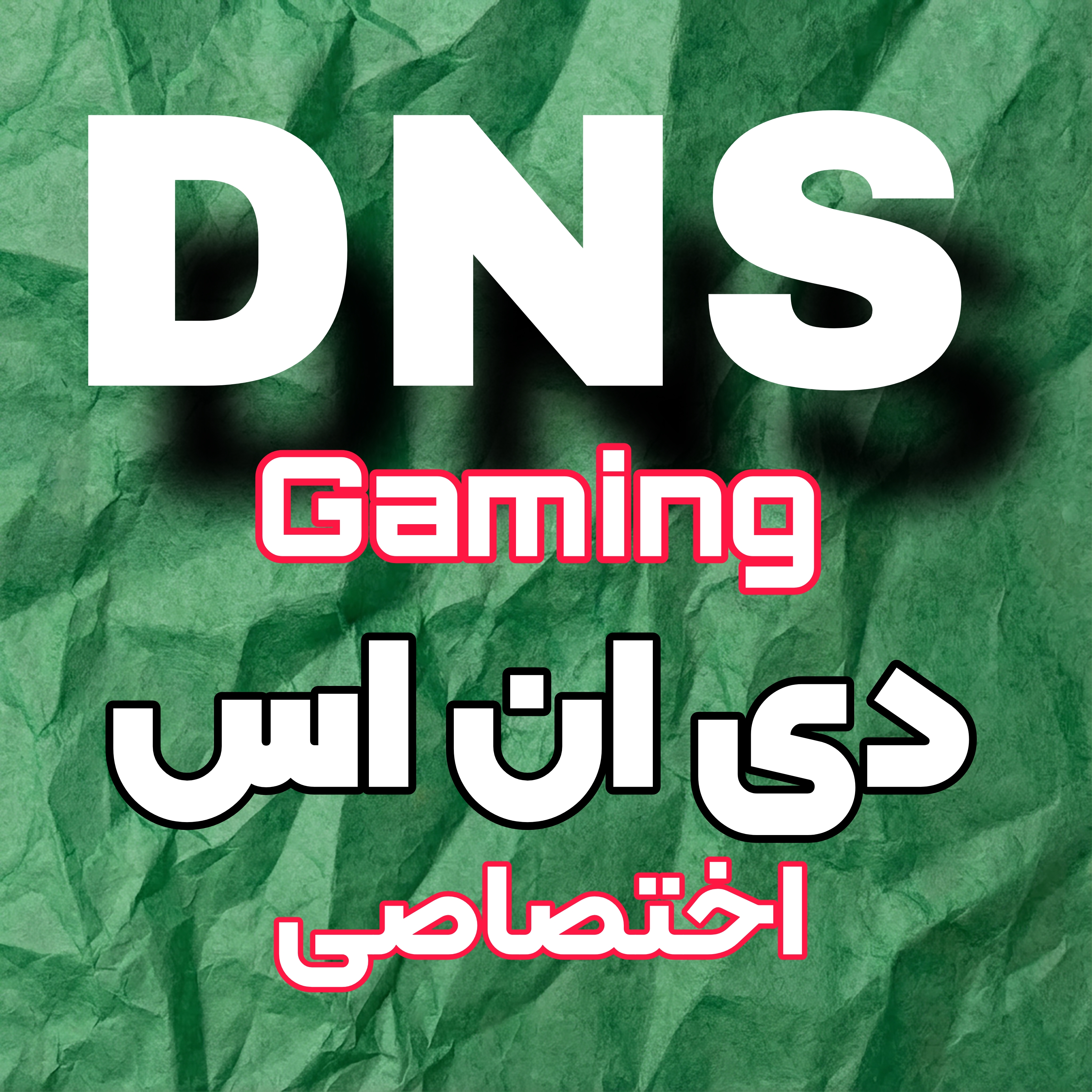 دی ان اس گیمینگ