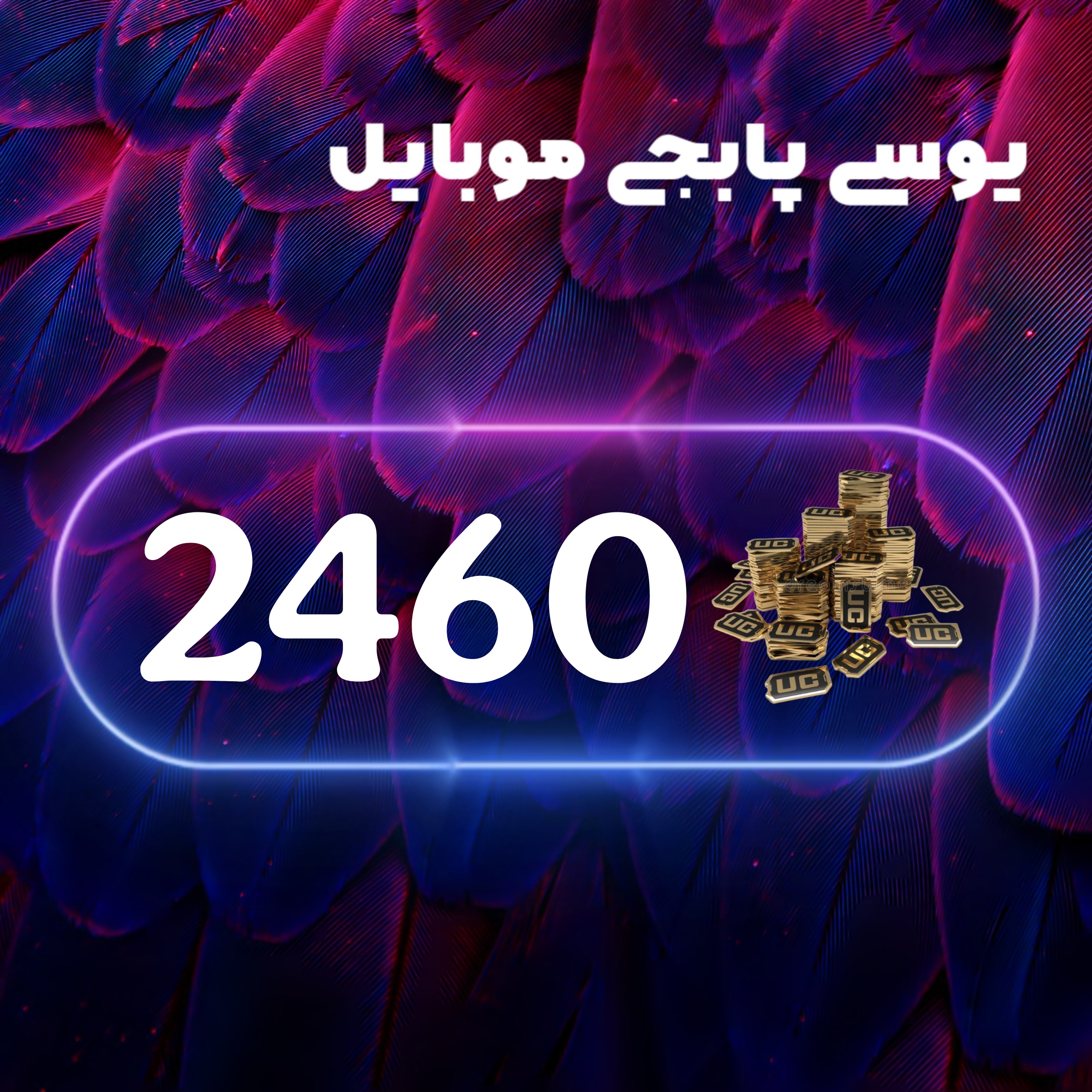 2460یوسی پابجی موبایل