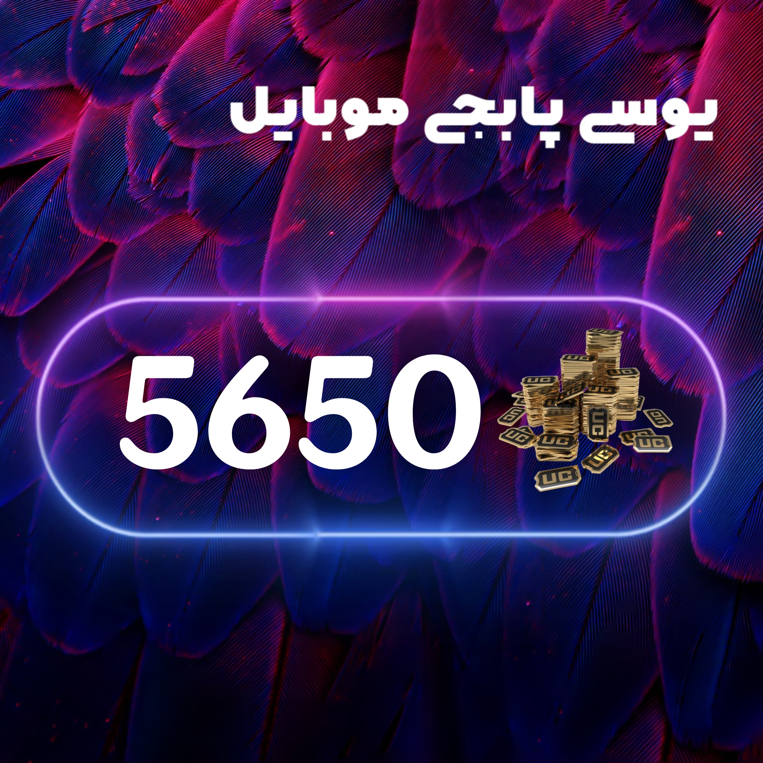 5650یوسی پابجی موبایل