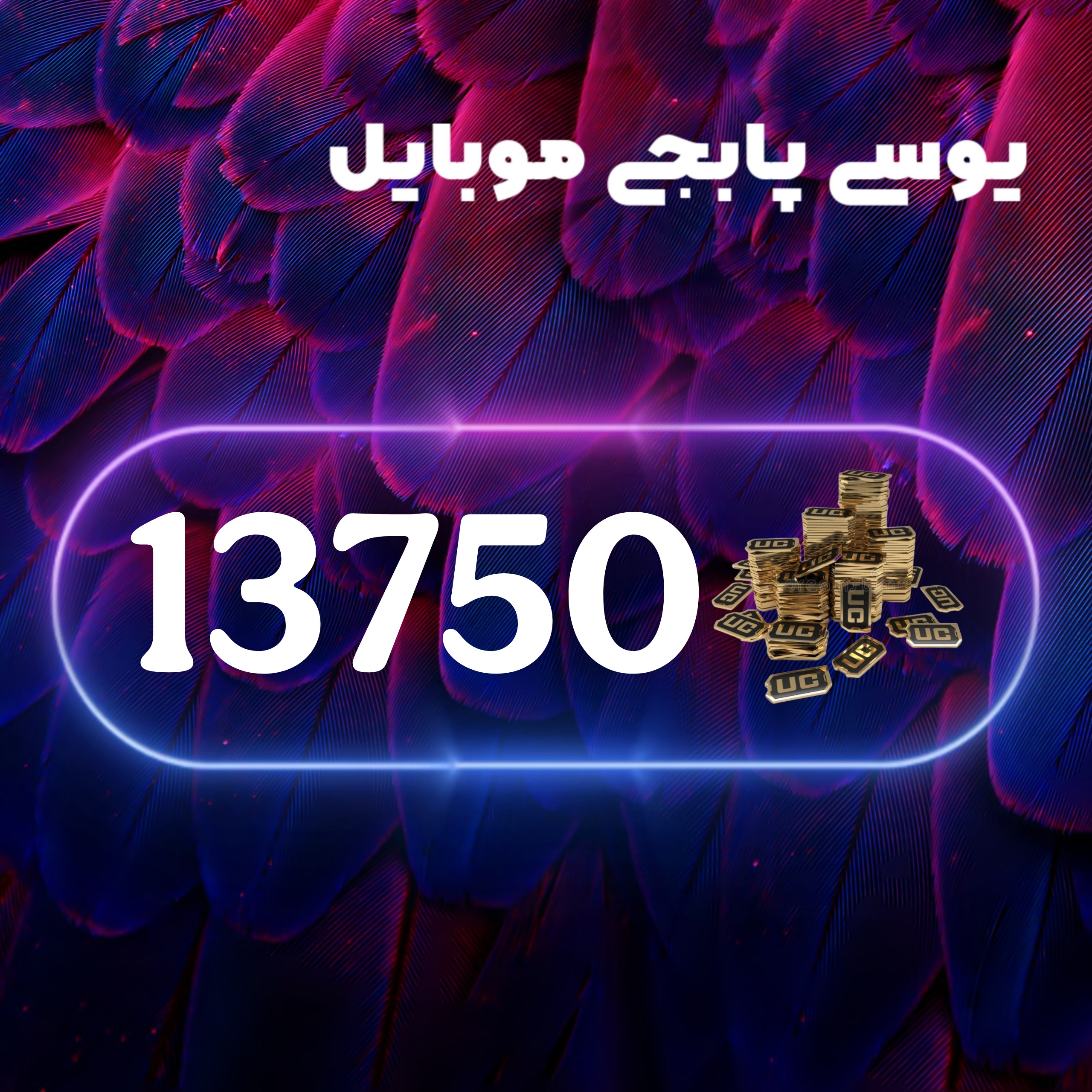13750یوسی پابجی موبایل