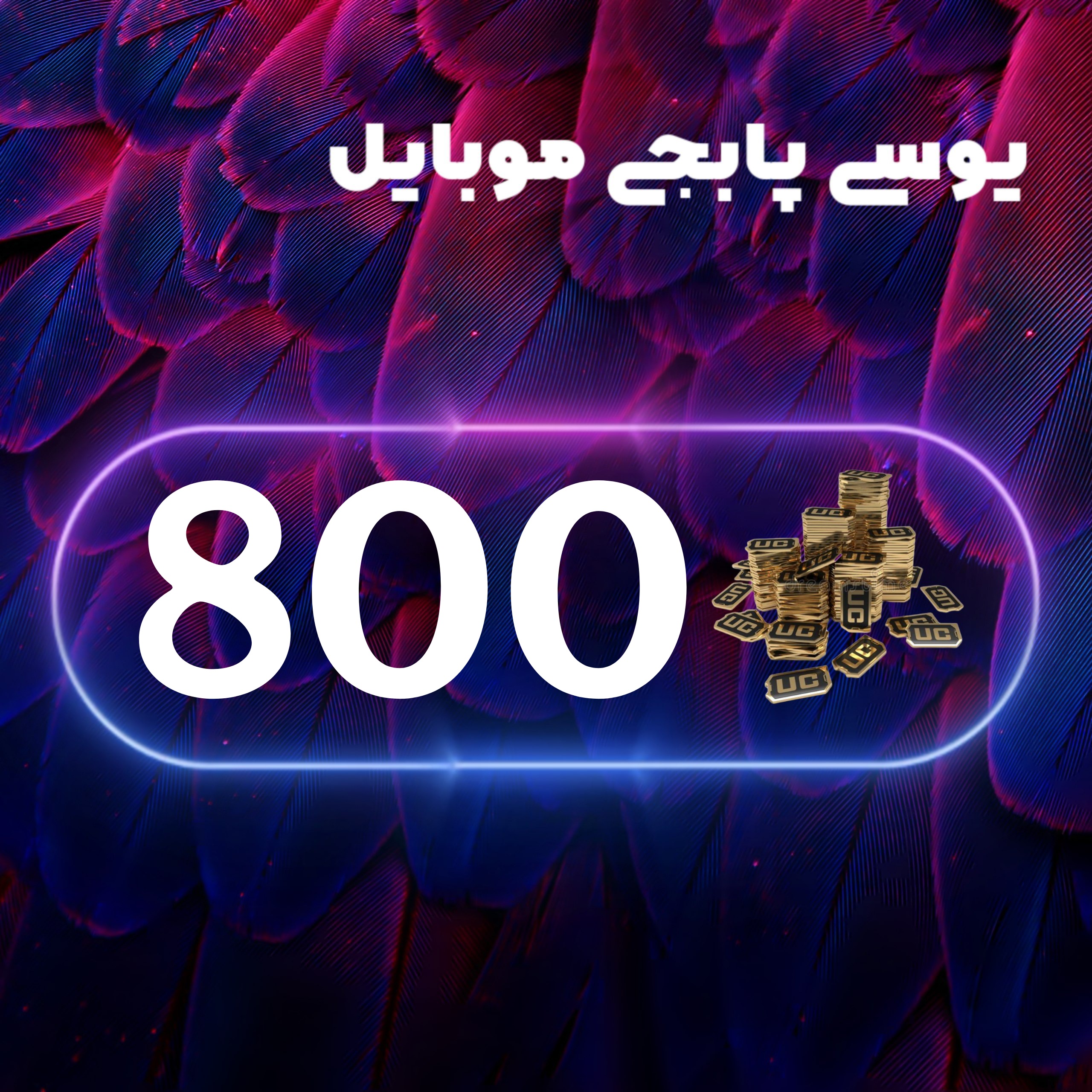 800یوسی پابجی موبایل